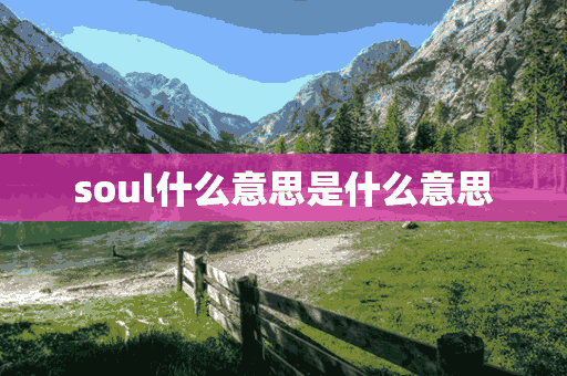 soul什么意思是什么意思